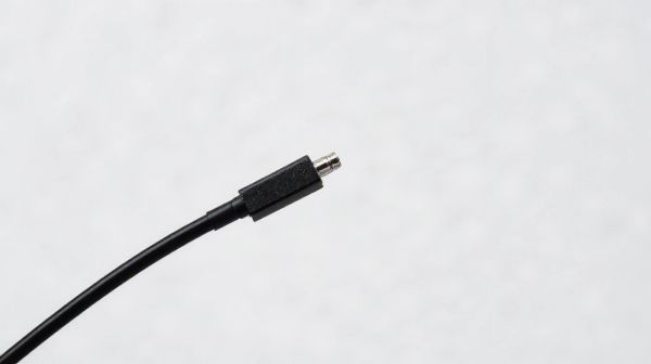 Top 5 raisons d'opter pour la fibre noire professionnelle